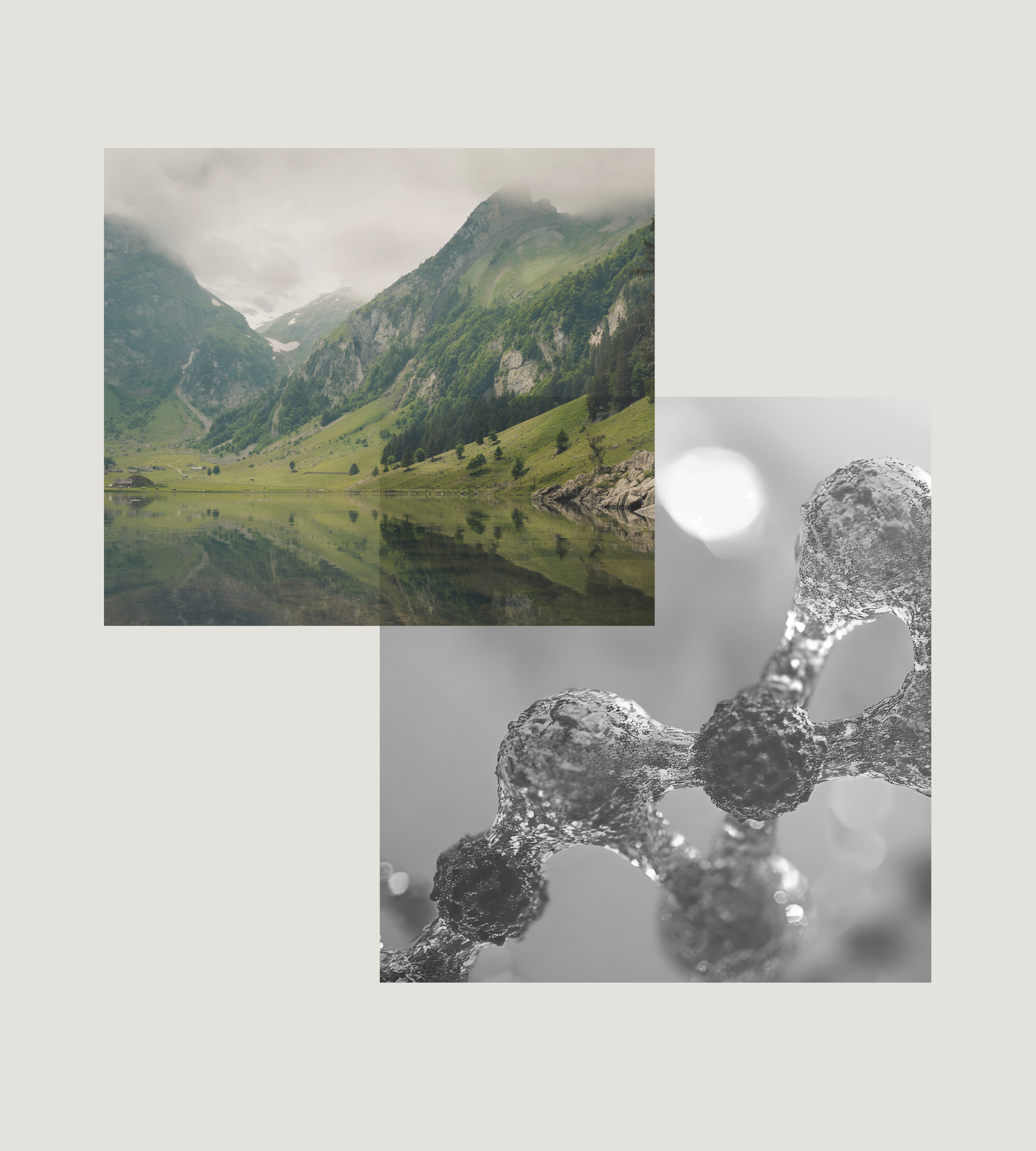 bionassay-switzerland